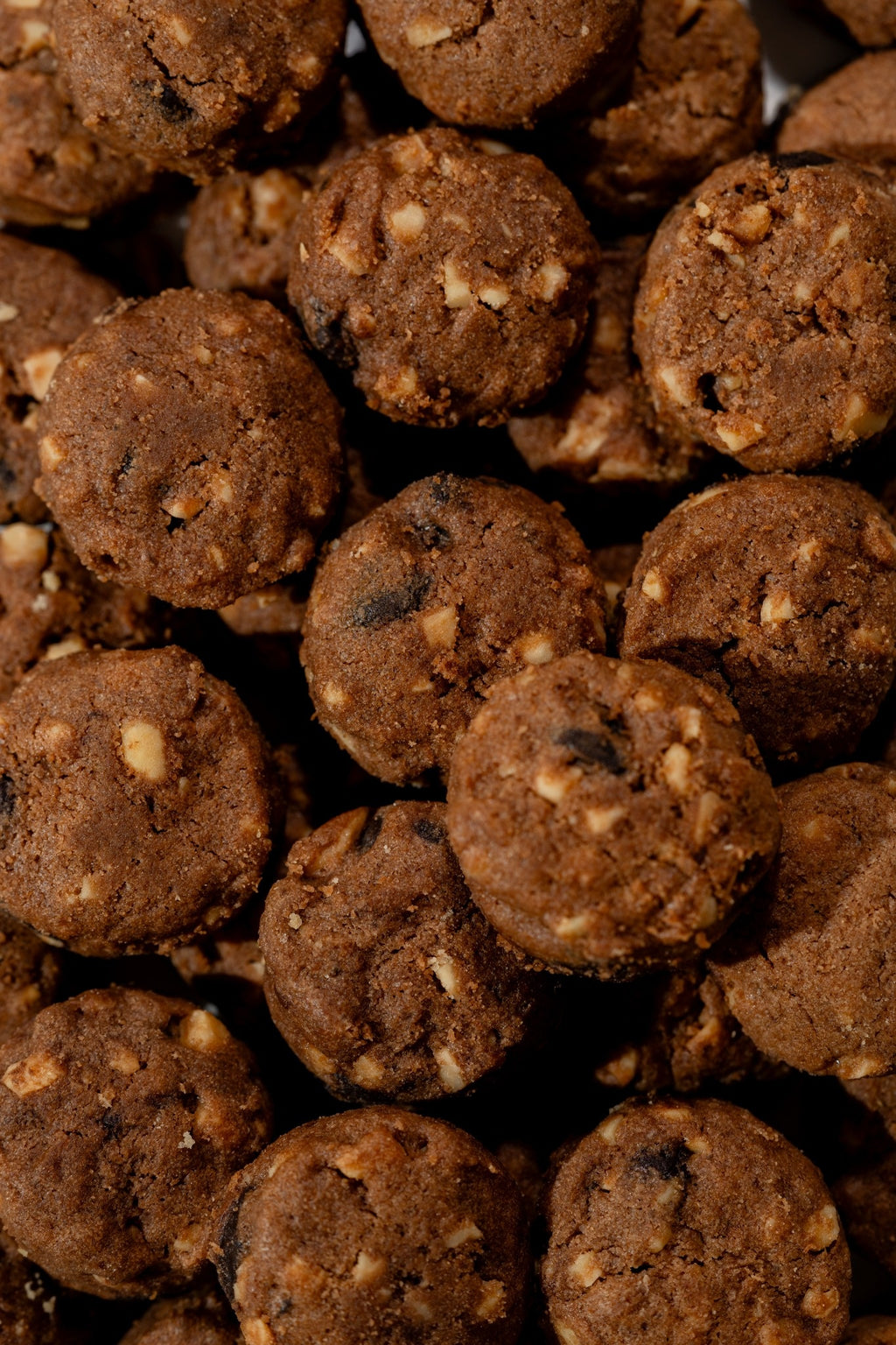 Chocolate Chip Comfort
